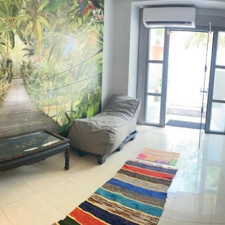 ChalkísΑρέθουσα Jungle Τριάρι 65Τμ.别墅 外观 照片